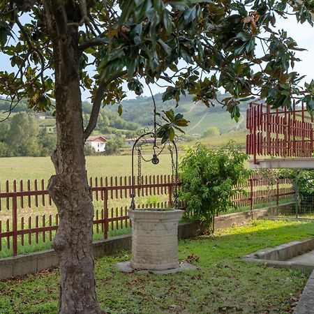 Private Parking, With Hill View Apartment Alba  Bagian luar foto